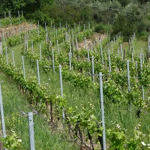 Cà Dei Conti Alloggio per agriturismo